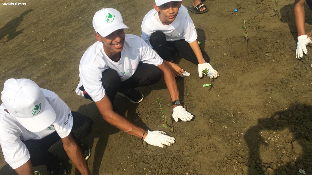 طلاب بيش يشاركون موظفي أرامكو في زراعة القُرم 