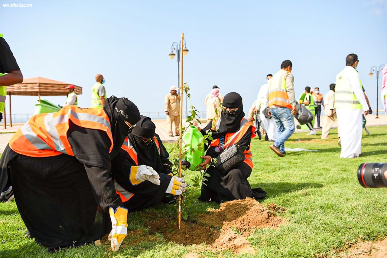 أمانة منطقة جازان تشارك في اليوم العالمي للتطوع  