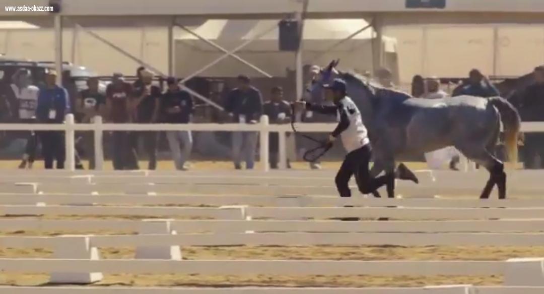 بجوائز مجموعها 15 مليون ريال،ومشاركة فزاع تحت الشعار السعودي،ينطلق سباق القدرة والتحمل في العلا صباح السبت
