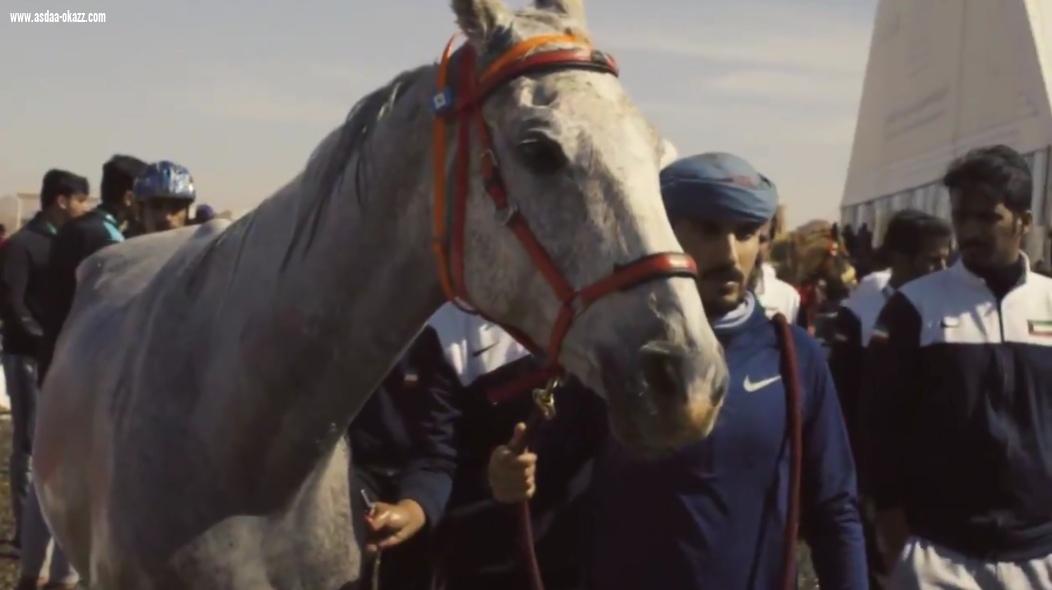 بجوائز مجموعها 15 مليون ريال،ومشاركة فزاع تحت الشعار السعودي،ينطلق سباق القدرة والتحمل في العلا صباح السبت