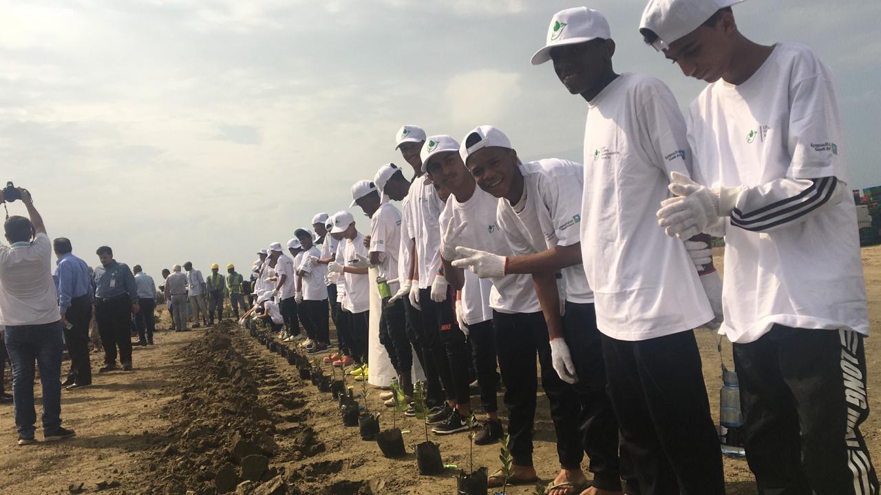 طلاب بيش يشاركون موظفي أرامكو في زراعة القُرم 