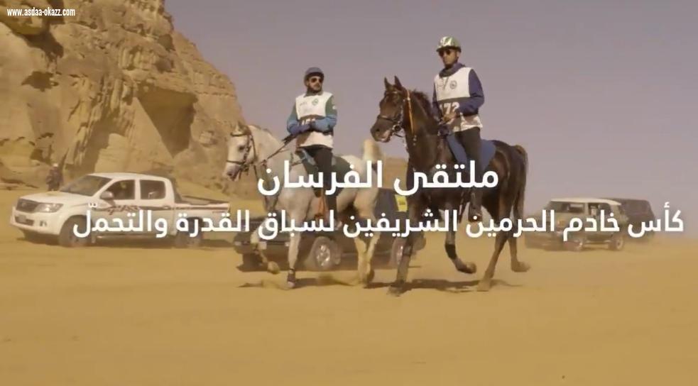 بجوائز مجموعها 15 مليون ريال،ومشاركة فزاع تحت الشعار السعودي،ينطلق سباق القدرة والتحمل في العلا صباح السبت