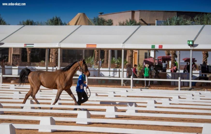 بجوائز مجموعها 15 مليون ريال،ومشاركة فزاع تحت الشعار السعودي،ينطلق سباق القدرة والتحمل في العلا صباح السبت