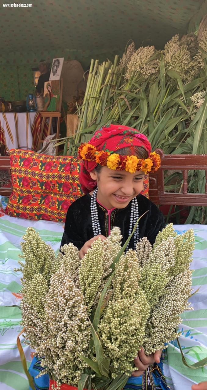 عذق برنامج للاحتفاء بموسم الذرة الرفيعة بمحافظة ضمد