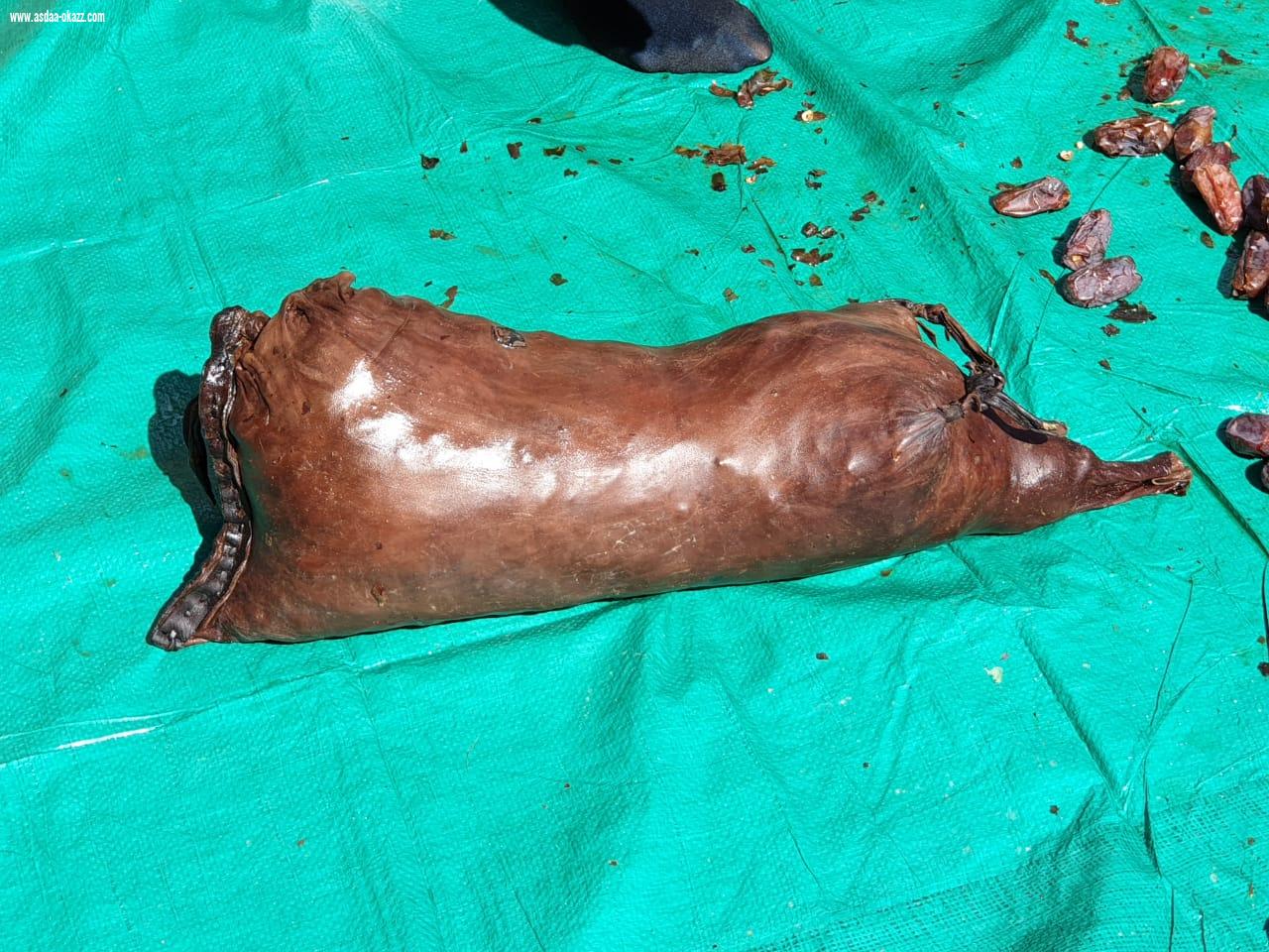 أهالي العلا على موعد مع ظهيرة سبت ساخنة في مهرجان تمور الشنة والمجلاد