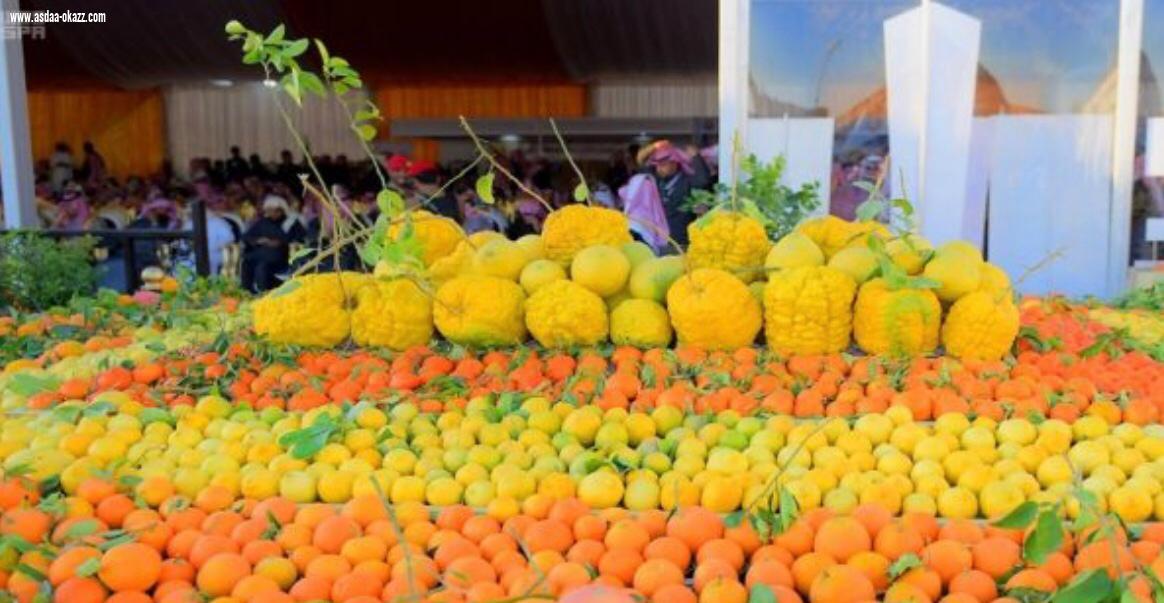 جبال الحريق تتزين بصور خادم الحرمين الشريفين وولي عهده الامين                 مهرجان الحمضيات الخامس بالحريق يشهد اقبال كبير من الزوار 