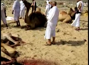 فك لغز فيديو العامل الذي ينحر مجموعة ابل