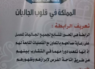 الاستثمار الرياضي داعم رئيسي لبطولة الصداقة الدولية للجاليات