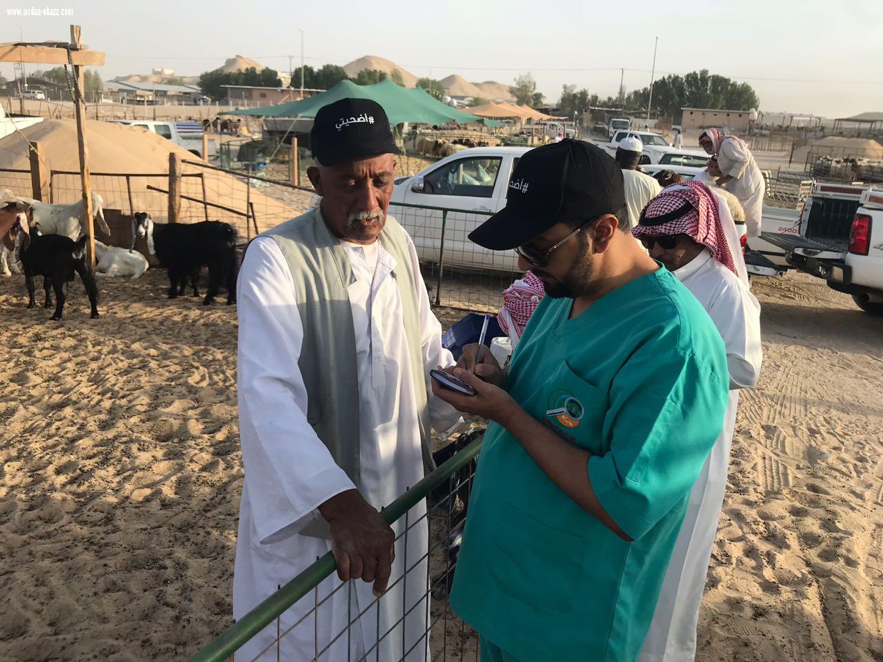 *حملة إرشادية تعريفية لاختيار الأضحية*عائشة الماص-الاحساء 