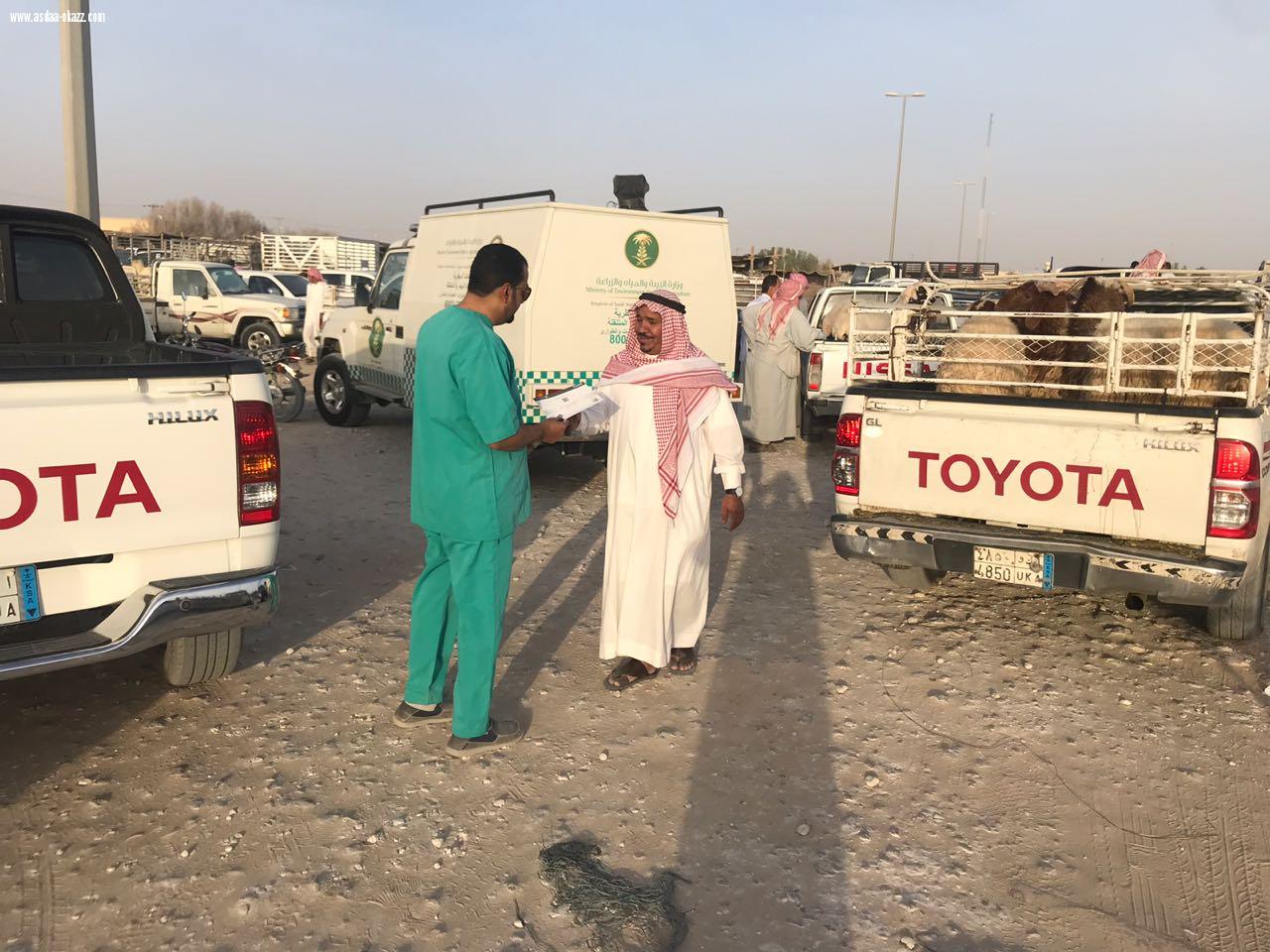 *حملة إرشادية تعريفية لاختيار الأضحية*عائشة الماص-الاحساء 