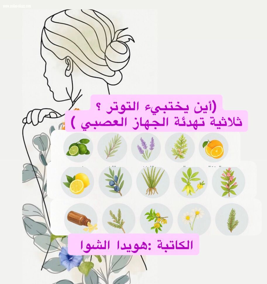 (أين يختبىء التوتر ؟ ،ثلاثية تهدئة الجهاز العصبي )