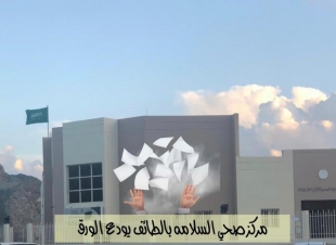 صحي السلامة