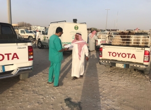 *حملة إرشادية تعريفية لاختيار الأضحية*عائشة الماص-الاحساء 