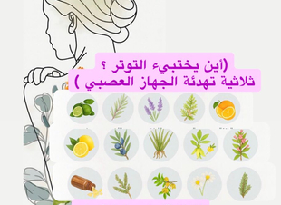 (أين يختبىء التوتر ؟ ،ثلاثية تهدئة الجهاز العصبي )